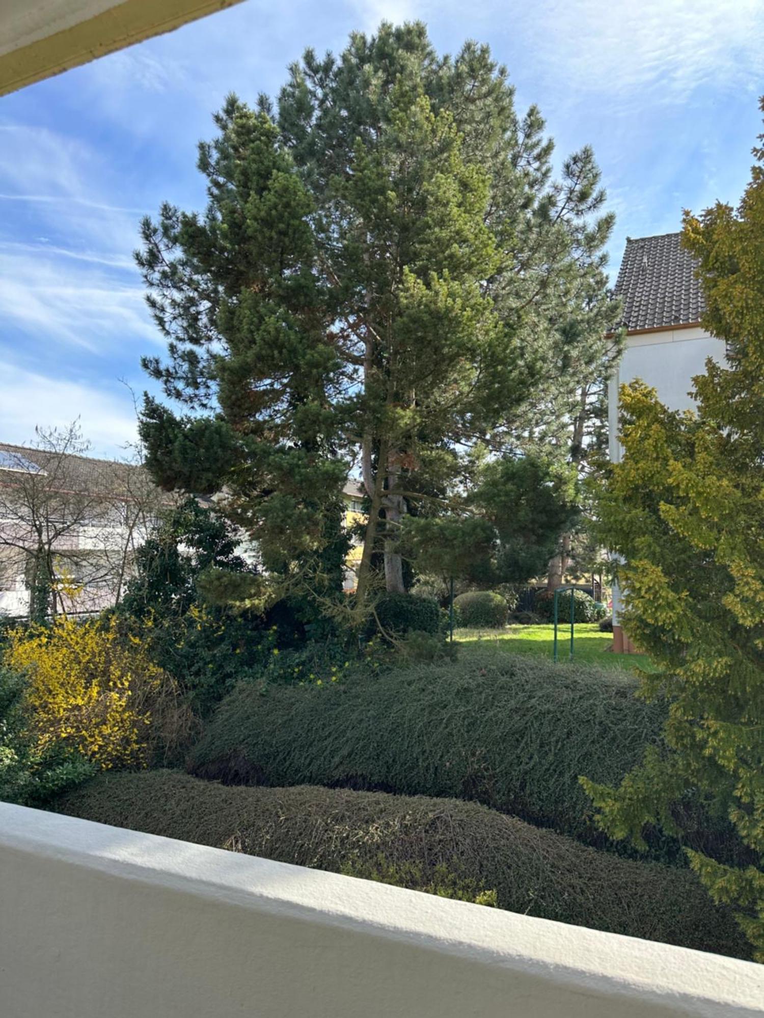 Apartamento Oase Am Schwimmbad Bad Bergzabern Exterior foto